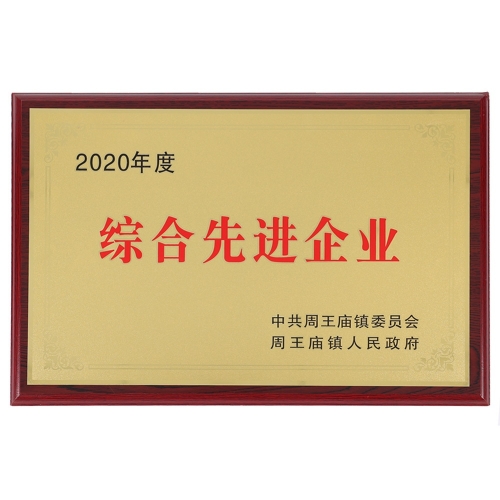 2020綜合先進(jìn)企業(yè)